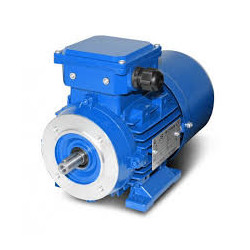 Trifazis elektros variklis 4kW-1430aps/min 380/660V universalus 100B34