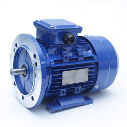 Trifazis elektros variklis 11kW-1460aps/min 380/660V universalus 132B335