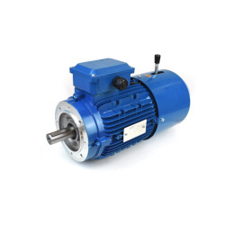 Trifazis elektros variklis 0.55kw-1380aps/min su stabdžiu, flanšinis 80B14