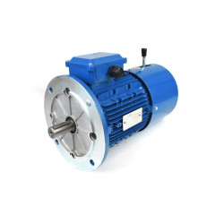 Trifazis elektros variklis 3kw-1420aps/min su stabdžiu, flanšinis 100B5