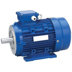 Trifazis elektros variklis 7.5kW-2920aps/min 380/660V universalus 132B34