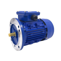 Trifazis elektros variklis 11kW-2930aps/min 380/660V flanšinis 132B5